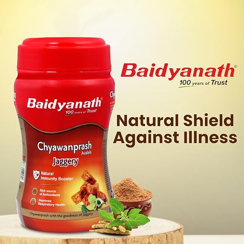 Baidyanath Ayurved Jaggery Chyawanprash 750gm