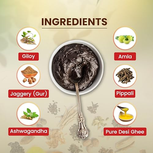 Baidyanath Ayurved Jaggery Chyawanprash 750gm