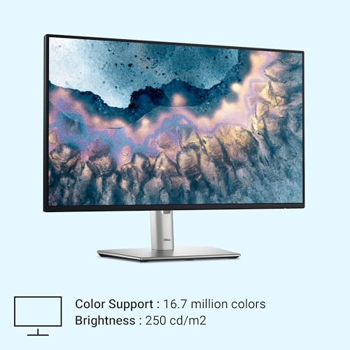 Dell 24 inch P2425H Monitor