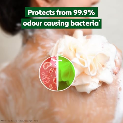 Dettol Body Wash and Shower