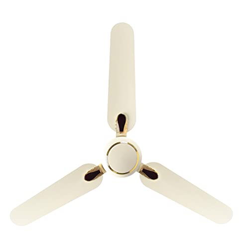 RR Signature Dhoom 1200MM Star-rated