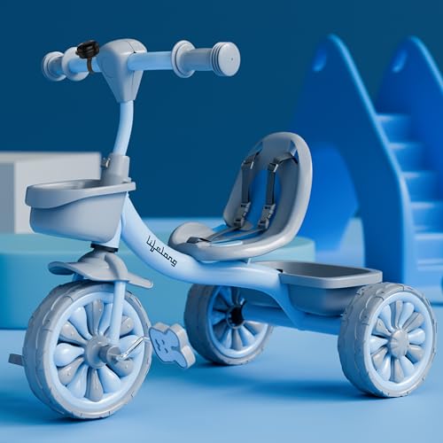 Lifelong Kids Tricycle with Eva