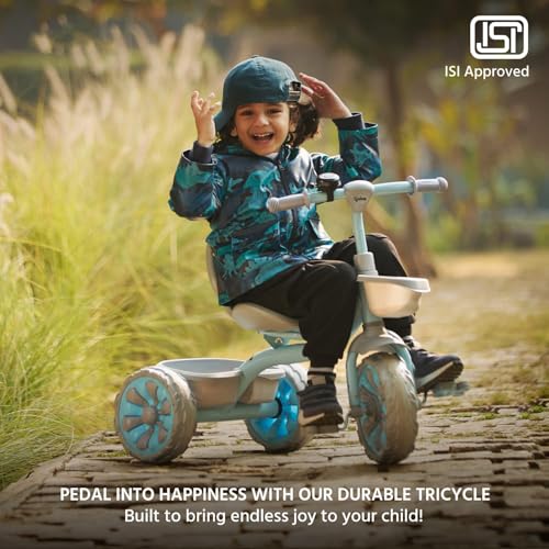 Lifelong Kids Tricycle with Eva