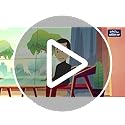 GADDA CO Mattress | Premium