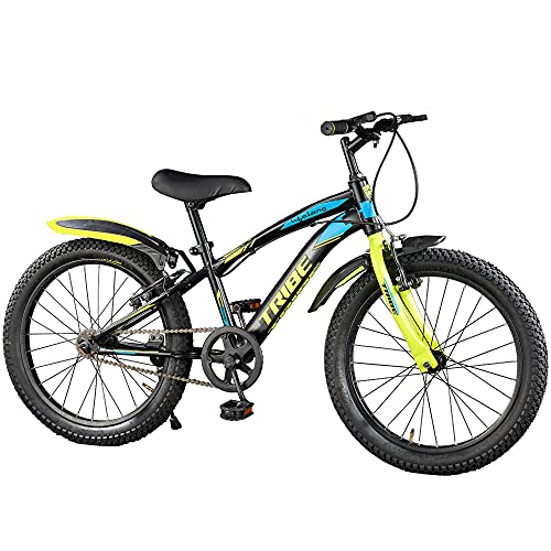 Lifelong 20T Cycle for Kids