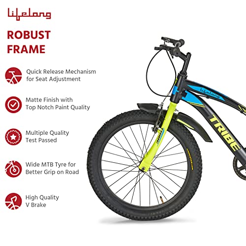 Lifelong 20T Cycle for Kids