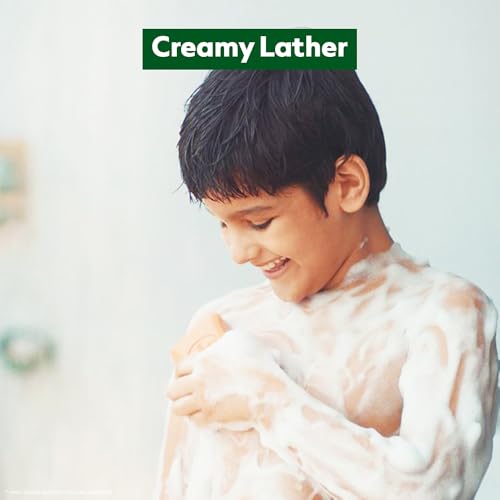 Dettol Original Germ Protection Bathing