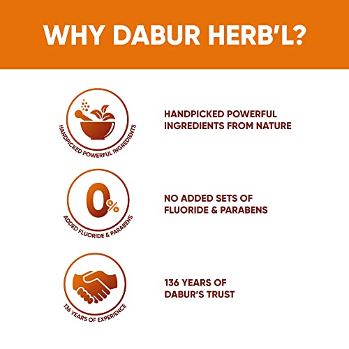 Dabur Herb'l Clove Toothpaste