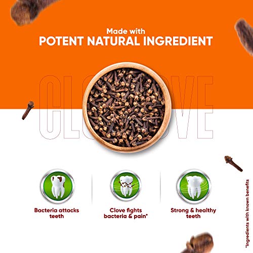 Dabur Herb'l Clove Toothpaste