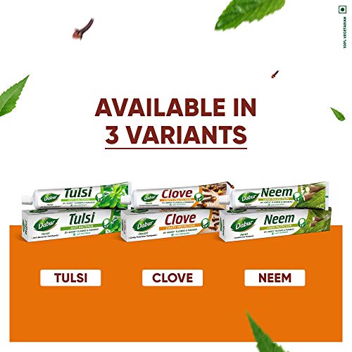 Dabur Herb'l Clove Toothpaste