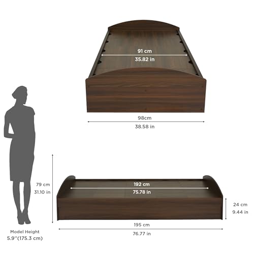 Nilkamal Addison Engineered Wood Single