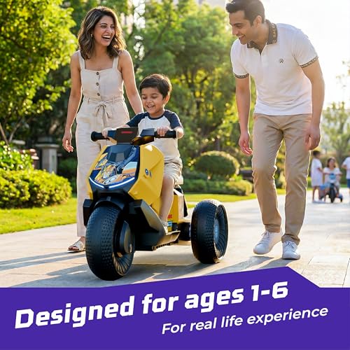 Lifelong Transformers Kids Electric Bike