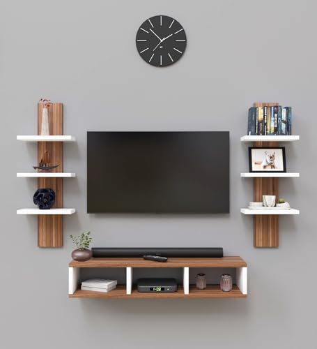 Spyder Craft Tokyo Engineering Wood