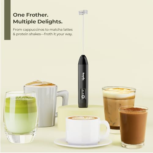 Lifelong Rechargeable Milk Frother