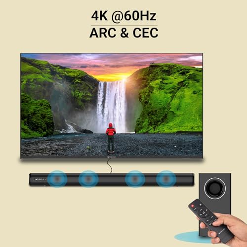 ZEBRONICS Haa1020 HDMI Cable 2.0