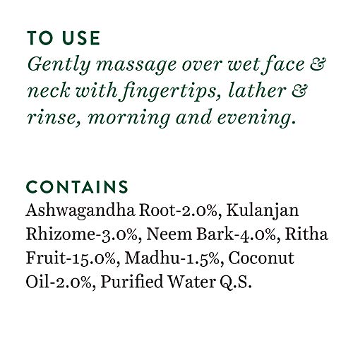 Biotique Fresh Neem Pimple Control