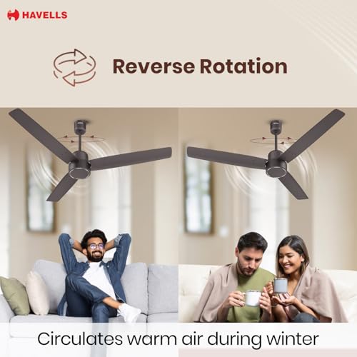 Havells FAB BLDC Ceiling Fan