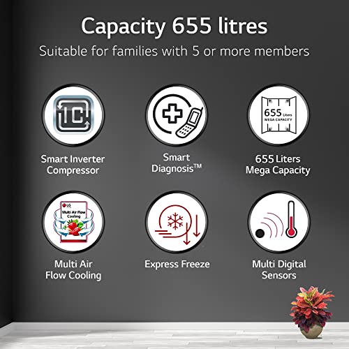 LG 655 L, 3 Star