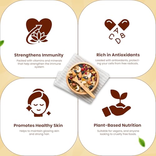 Go Vegan Healthy Nutmix 500gm