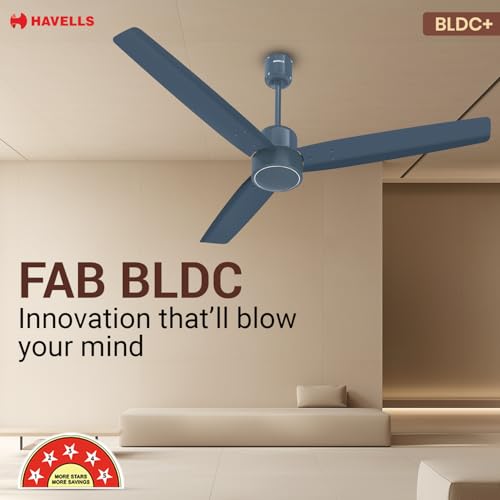 Havells FAB BLDC Ceiling Fan