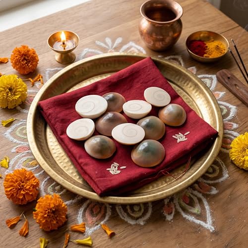 Cycle Pure Navin Gomti Chakra | Symbol of Prosperity & Protection