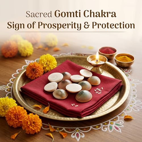 Cycle Pure Navin Gomti Chakra | Symbol of Prosperity & Protection - Image 2