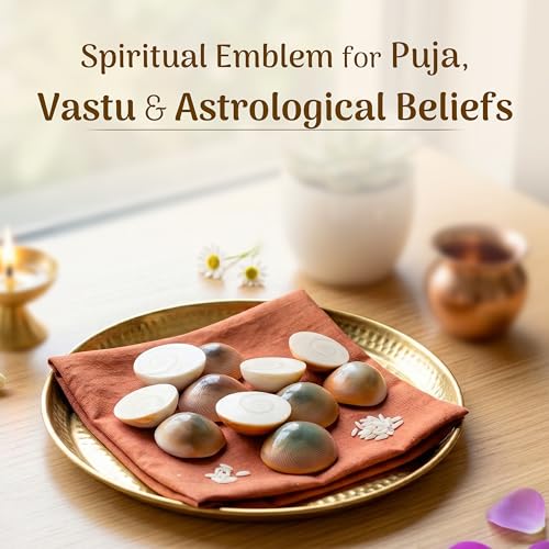Cycle Pure Navin Gomti Chakra | Symbol of Prosperity & Protection - Image 3