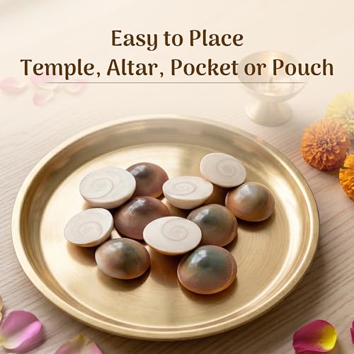 Cycle Pure Navin Gomti Chakra | Symbol of Prosperity & Protection - Image 4