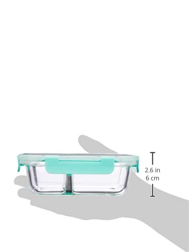 Solimo Microwave Safe Two Compartment