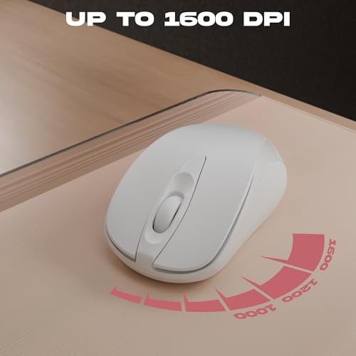 Zebronics Wireless Keyboard & Mouse