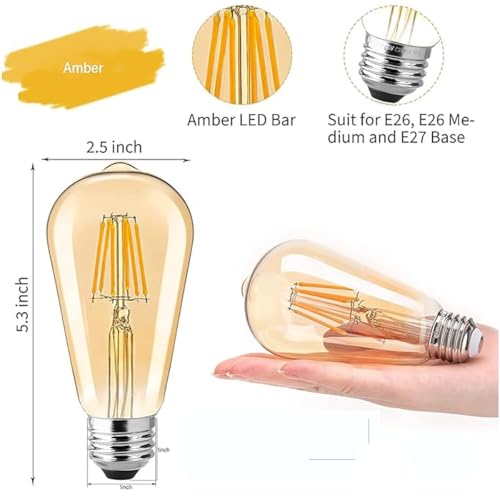 Edison Tungsten Filament Antique Glass