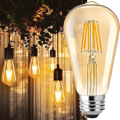 Edison Tungsten Filament Antique Glass