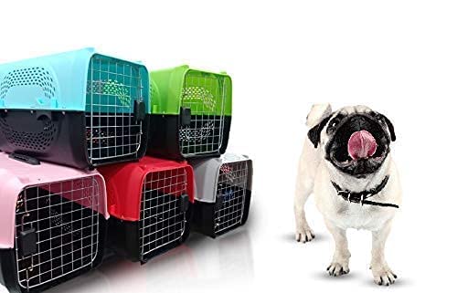 IATA Approved Pet Travel Carrier