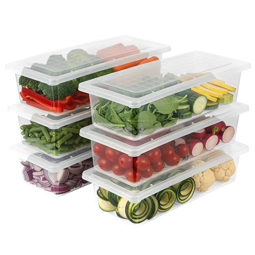 VOLTURI Fridge Storage Containers, Fridge