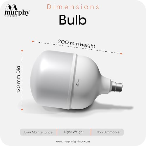 Murphy Base B22 40w LED Globe High Wattage Bulb (Warm White) - Image 2