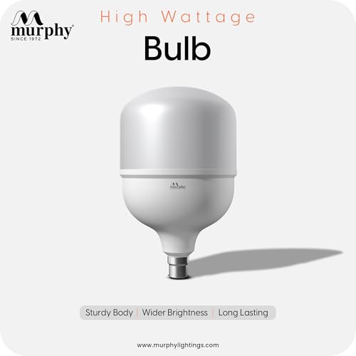 Murphy Base B22 40w LED Globe High Wattage Bulb (Warm White) - Image 3
