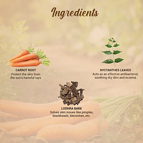Biotique Bio Carrot Face &