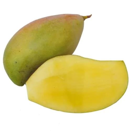 Fresh Mango Totapuri 1 Kg (2-5 pcs). - Image 4