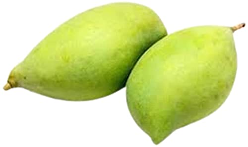 Fresh Mango Totapuri 1 Kg (2-5 pcs). - Image 5