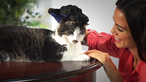 Pets Empire Cat Grooming Glove for Cats Wool Glove Pet Hair (MED) - Image 3