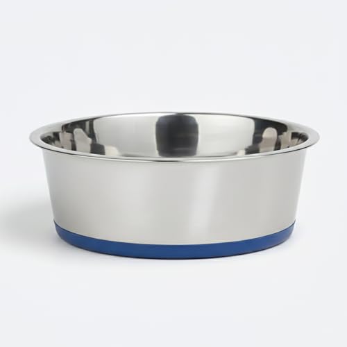 Ezra Classic Stainless Steel Dog