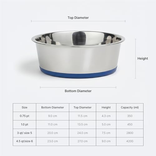 Ezra Classic Stainless Steel Dog