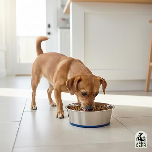 Ezra Classic Stainless Steel Dog