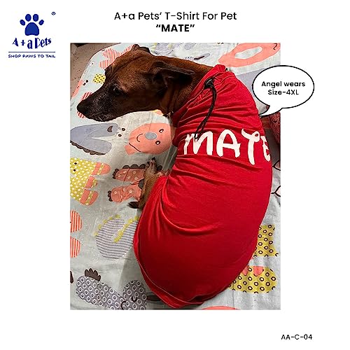 A+A Pets Graphic Printed Mate