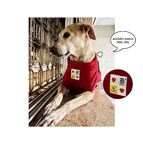 A+A Pets Graphic Printed Mate