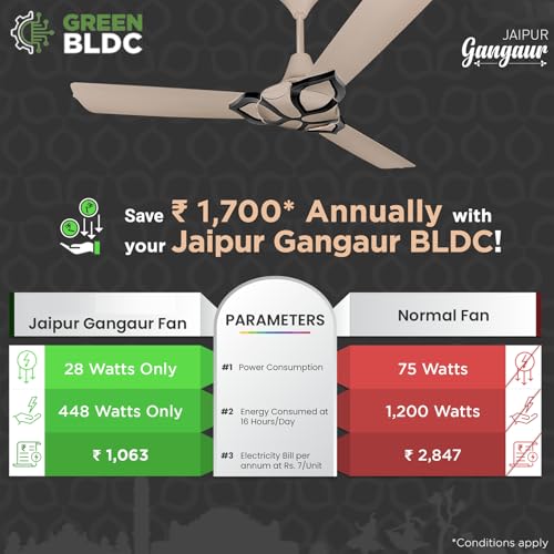RR Signature Jaipur Gangaur BLDC