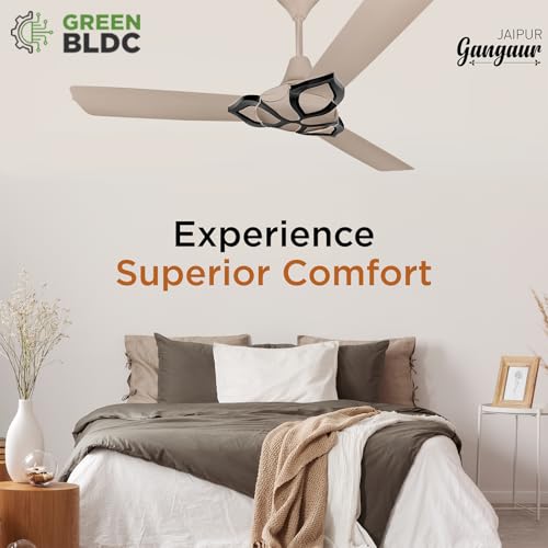 RR Signature Jaipur Gangaur BLDC