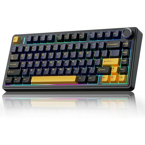 AULA F75 75% Wireless PBT