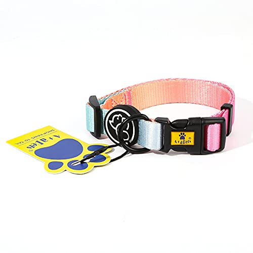 A+a Pets' Gradient' Collar