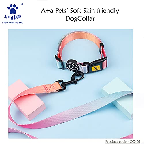 A+a Pets' Gradient' Collar